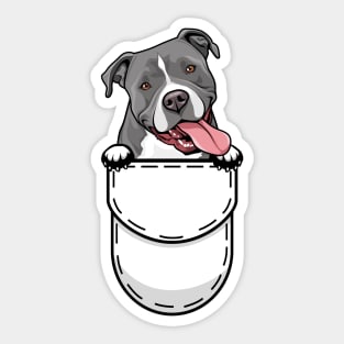 Pit Bull Pocket Dog Sticker